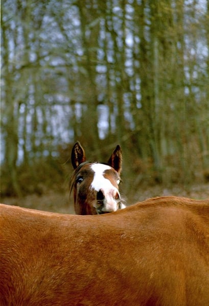 schau doch mal bei uns vorbei