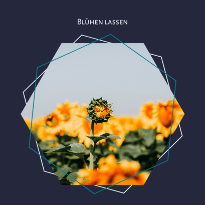 Lasse deinen Text blühen! Mit einem Lektorat oder Korrektorat für deinen Roman