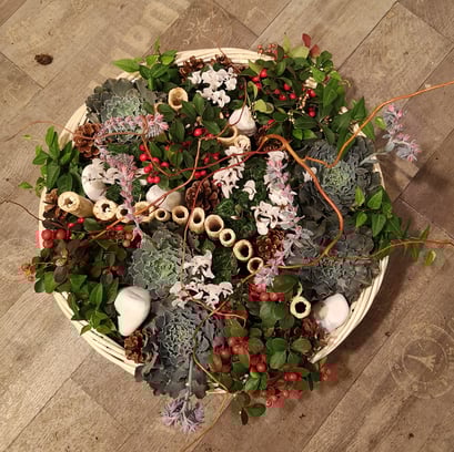 Jardin de plante 80 euros