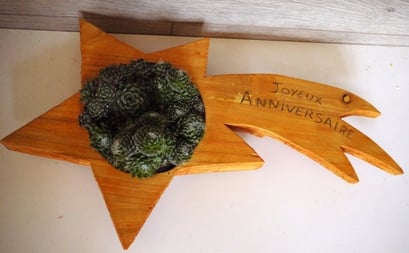 Pièce sur mesure 60 euros 