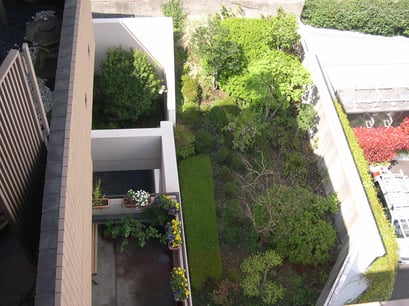 エントランス廻り植栽