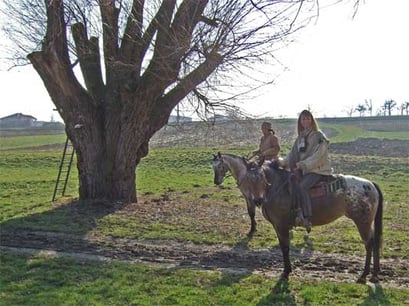 18.2.2007 Schwieberdingen Kamera: Fuji F30