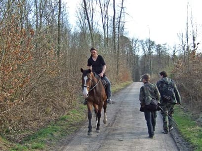 30.3.2008 Markgröningen Rotenackerw. Kamera: Fuji Finepix F30