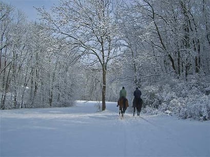 5.3.06 10:39 Markgröningen Pferdekoppel Kamera: Pentax Optio S