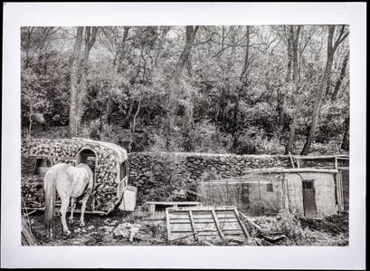 Andalusia 2016,  Kallitype, Palladium Toned, April 2020, 5/5