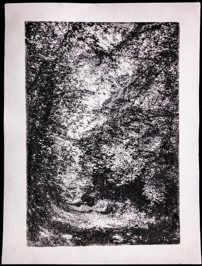 Eifel 2017, Gum Oil Print, 04.2020, 2/5