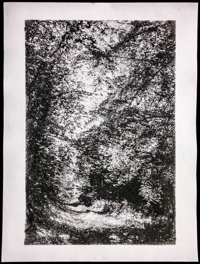 Eifel 2017, Gum Oil Print, 04.2020, 4/5