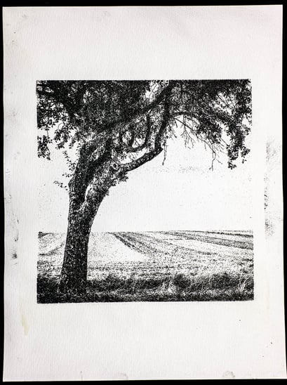 Göttingen 2016, Gum Oil Print, 04.2020, 1/5