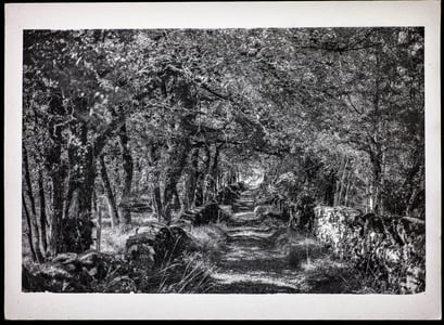 Dordogne 2017 No. 1,  Kallitype, Gold Toned, April 2020, 2/5