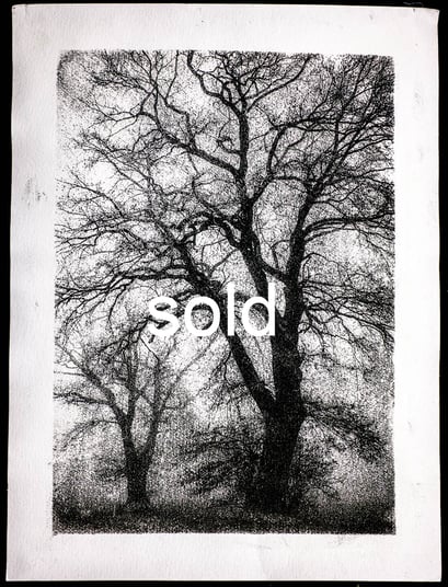 Oberlethe 2017, Tree in the Fog, Gum Oil Print, April 2020, 5/5
