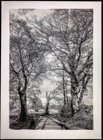 Oberlethe 2017, Road to Meadow, Kallitype,Gold Toned April 2020, 1/5