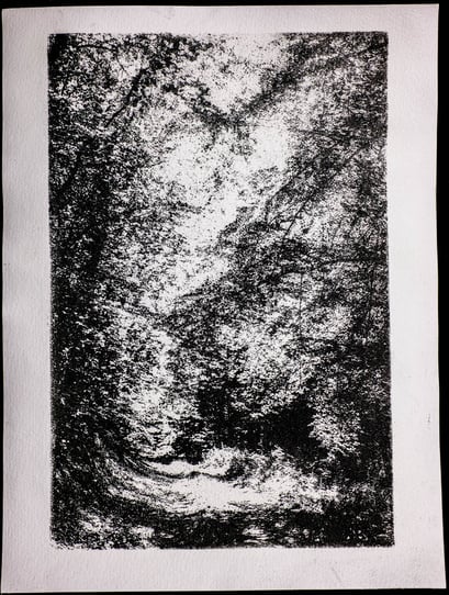 Eifel 2017, Gum Oil Print, 04.2020, 3/5