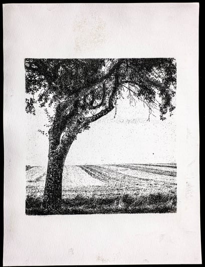 Göttingen 2016, Gum Oil Print, 04.2020, 2/5