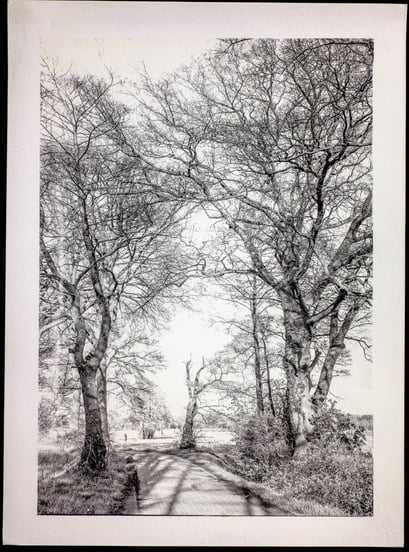 Oberlethe 2017, Road to Meadow, Kallitype,Gold Toned April 2020, 5/5