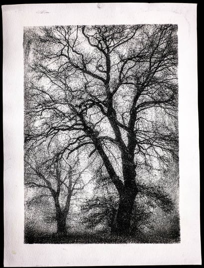 Oberlethe 2017, Tree in the Fog, Gum Oil Print, April 2020, 2/5