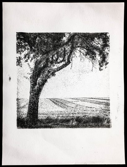 Göttingen 2016, Gum Oil Print, 04.2020, 4/5