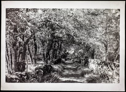 Dordogne 2017 No. 1,  Kallitype, Gold Toned, April 2020, 1/5