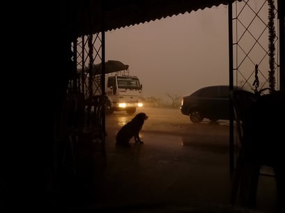 Der Regen bringt nicht die erhoffte Abkühlung