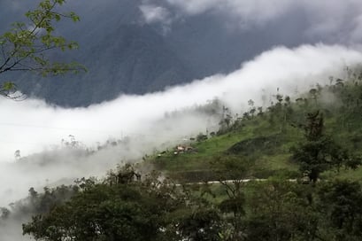 Dem Regenwald entgegen
