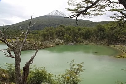 Tierra del Fuego N.P.