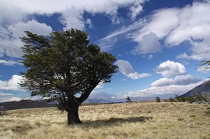 Torres del Paine N.P.