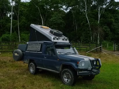 Schwül-heiss, viele Mücken - der Amazonas