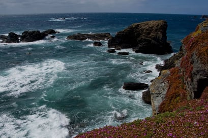 Lizard Point am Ärmelkanal - traumhaft