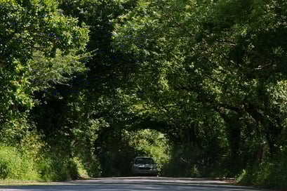 Unterwegs auf Südengland's Strassen