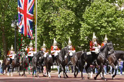 Horse Guard
