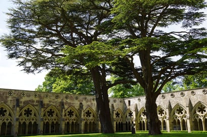  Salisbury - Cathedral