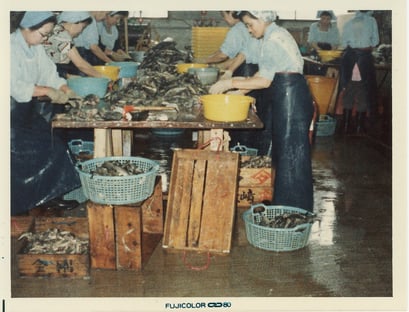 当時の作業風景