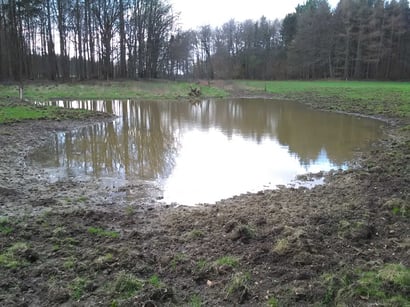 Eines der neu angelegten Gewässer auf der Heinrich-Huß-Wiese.