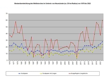 Entwicklung der Storchenbestände im Umfeld von Neumünster von 1975 bis 2022. Zum Vergrößern bitte auf die Grafik klicken.