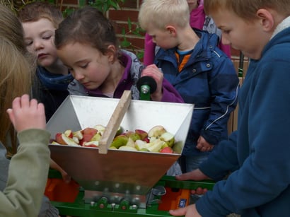 Vor dem Saftpressen mußten die Äpfel zerkleinert werden.
