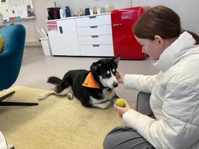 Tiergestützte Schulsozialarbeit