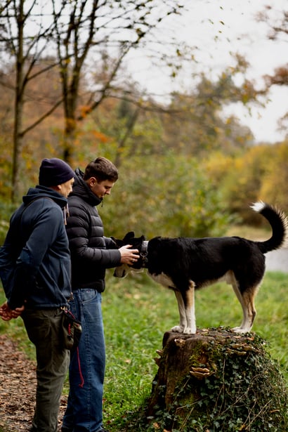 Tiergestützte Pädagogik - Jugendcoaching - Sozialpädagogische Einzelbegleitung in der Natur - Outdoor mit Therapiehund