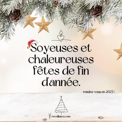 Soyeuses et Chaleureuses Fêtes de fin d'année ! rendez-vous en 2025
