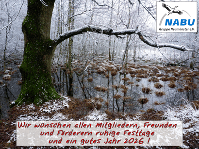 Festtagsgruß aus dem Dosenmoor - Zum Vergrößern bitte anklicken.