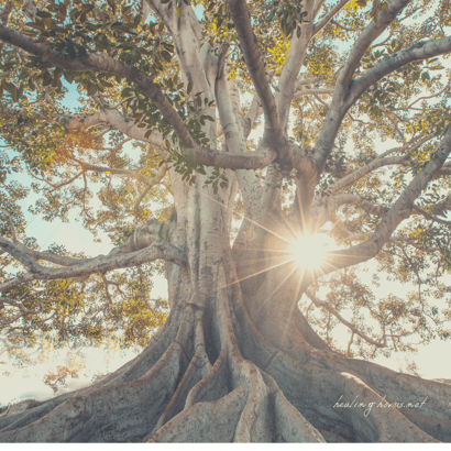 Photo by Jeremy Bishop on Unsplash