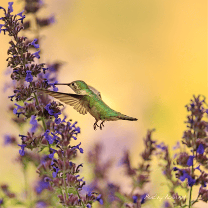 Photo by W R on Unsplash