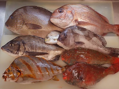 品川区　天王洲　宅配寿司