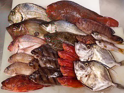 宅配寿司　出前