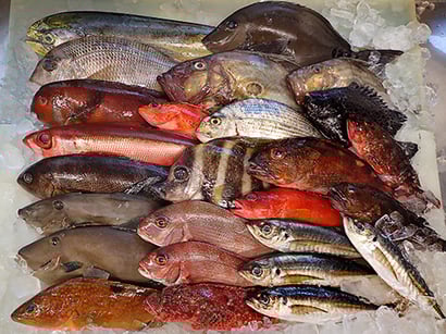 葛飾区　宅配寿司　出前