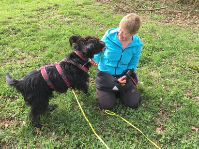 Foto: Esther Hufschmid / cumcane familiari