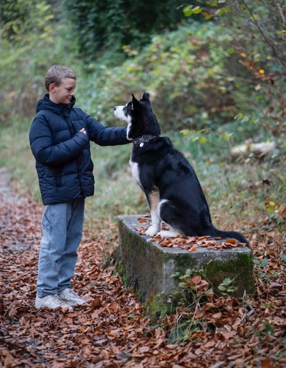 Time Out, Auszeit, Tiergestützte Soziale Arbeit mit jungen Menschen
