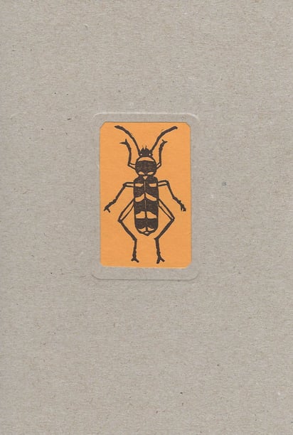 copertina cartonata con cartouche illustrato