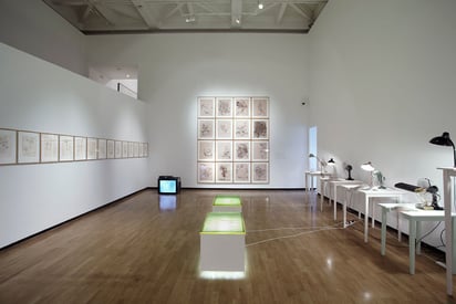 Haunch of Venison, London, 2010