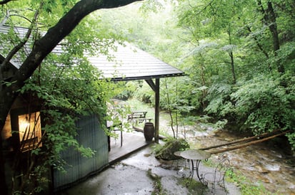 清流沿いのカフェで地産地消ランチ