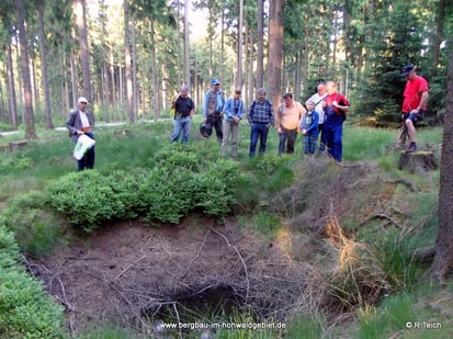 Die Exkursionsteilnehmer an der Pinge.