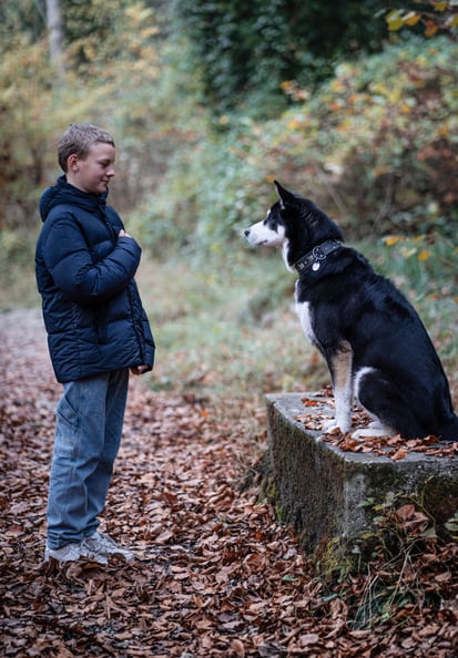 Therapie für Jugendliche mit Therapiehund